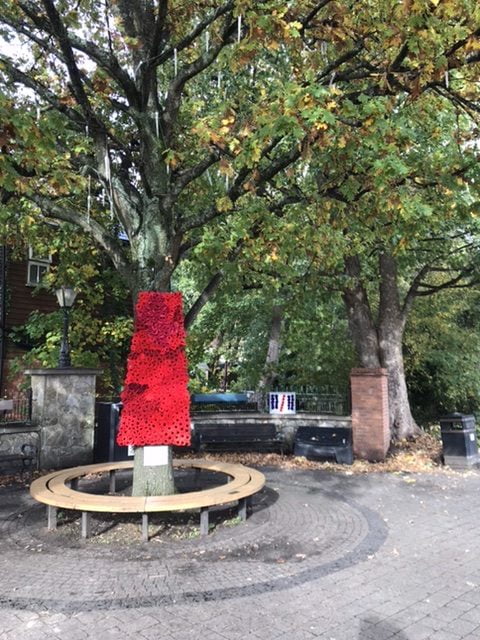 Place Villerest Poppy Display