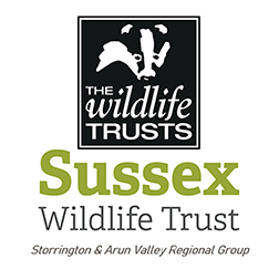 Sussex Wildlife Trust - Storrington & Arun Regional Group