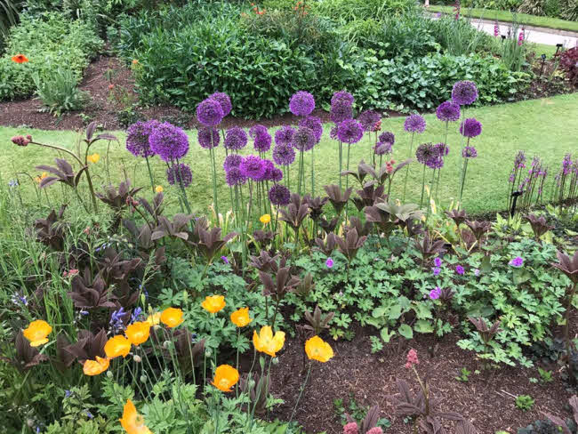 A flower garden to promote Storrington Museum Talk Gardens of South East England