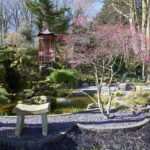 National Garden Scheme , Old Vicarage, Washington