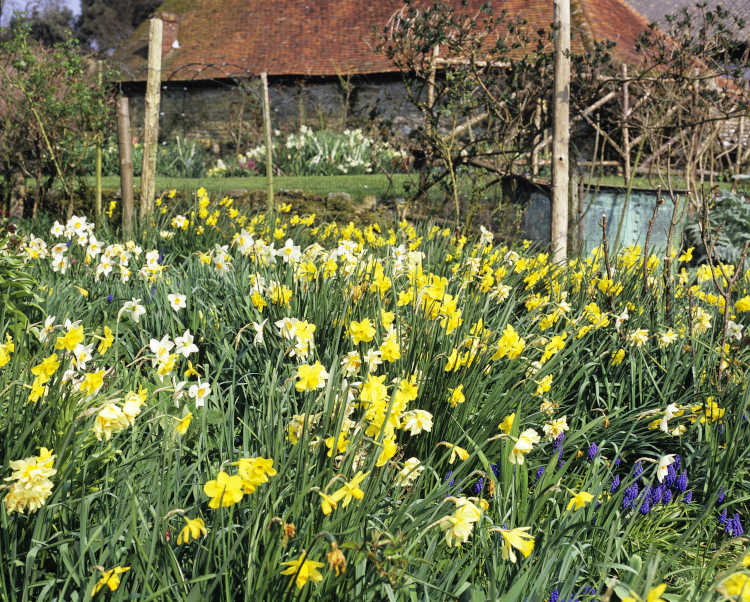 Manor of Dean, NGS