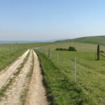 track in South Downs