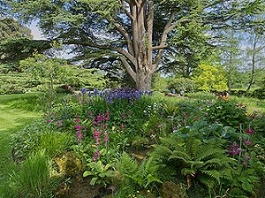NGS Garden at Fittleworth House