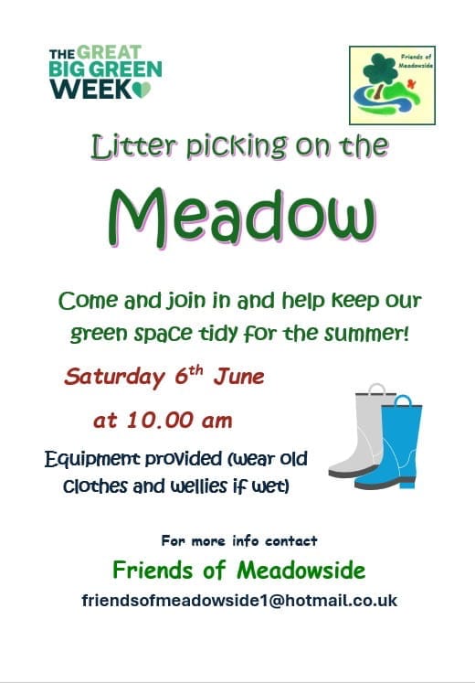 Litter picking on the Meadow poster