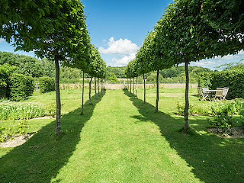 Garden at Meadow Farm Pulborough open under NGS Open Day scheme