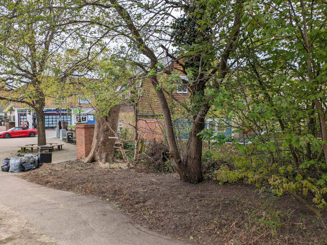 Storrington in Bloom - The cleaned up area
