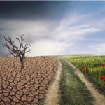 picture showing effect of climate change, desert and poppies