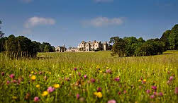 Standen House
