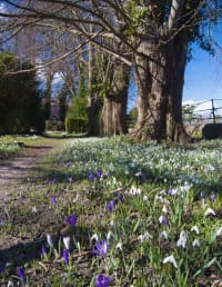 Churchyard in Storrington