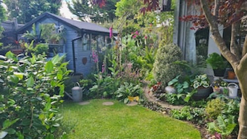Photo of Judy's Cottage Garden