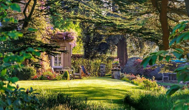 A garden in Fittleworth, Sussex