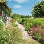 Garden at Old Rectory, Sullington