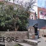 Before and after photo of Judas tree in Waitrose car park