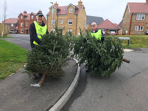 Rotarians collecting Christmas Trees for Recycling