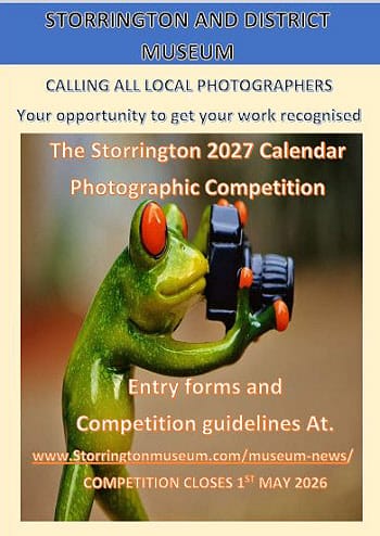 Photo of frog taking photo for Storrington Museum Photo Competition