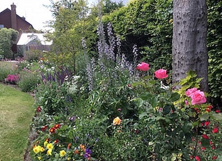 A garden in Steyning