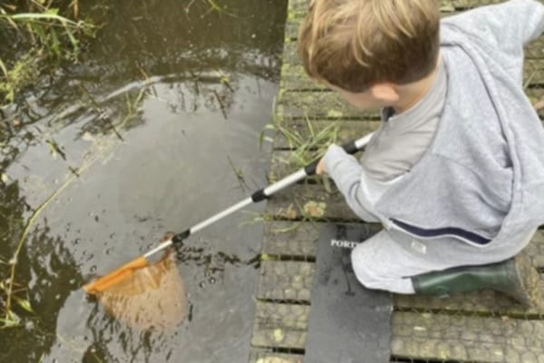 Child pond dipping with net