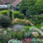 An aerial view of a garden.