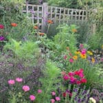 Photo of Lynwood Garden