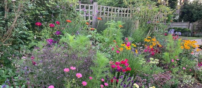 Photo of Lynwood Garden