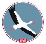 White Stork Project live logo