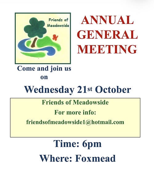 Poster for Friends of Meadowside AGM