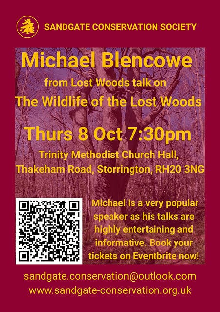Sandgate Conservation Society Talk: "The Wildlife of the Lost Woods" @ Trinity Methodist Church | Storrington | England | United Kingdom